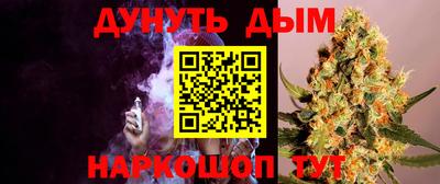 стаф Кимры