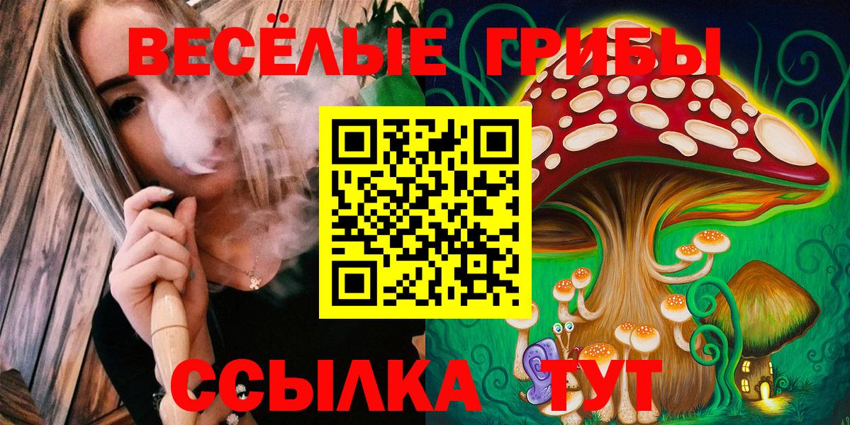 Красноярск  Галлюциногенные грибы Cubensis  Вход с VPN 